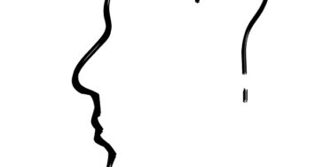 Head 1965671 640